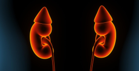 Картинка - Про що свідчить білок у сечі