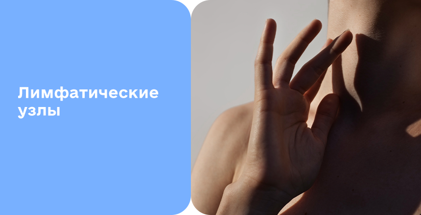 Фото - Лимфатическая система человека
