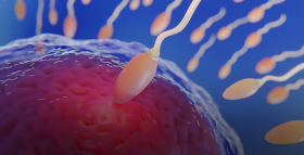 Картинка - Як покращити якість сперми та чоловічу фертильність?