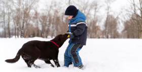 Картинка - Токсокароз у дорослих та дітей