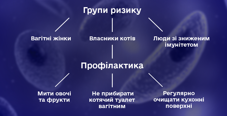 групи ризику токсоплазмозу