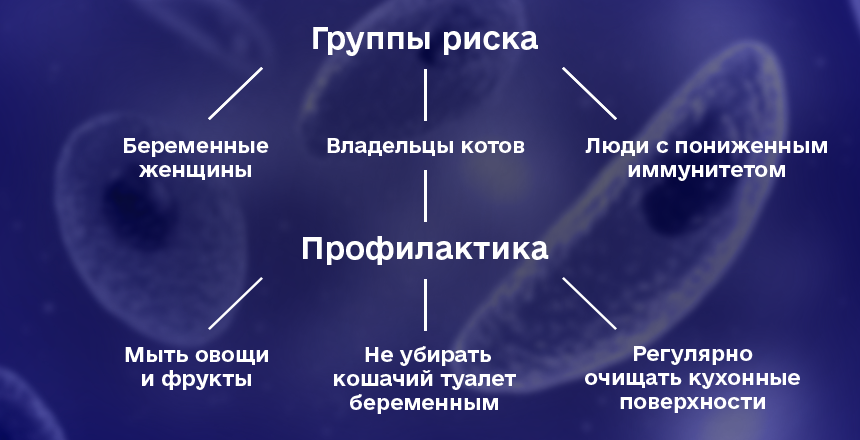 группы риска токсоплазмоза