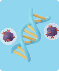Комплекс №281 «Маркери запальних захворювань кишківника»: Кальпротектин + Лактоферин