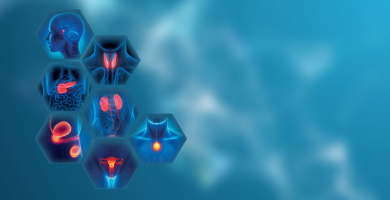 Фото - АКТУАЛЬНЫЕ ВОПРОСЫ ЭНДОКРИНОЛОГИИ И ЭНДОКРИННОЙ ХИРУРГИИ: ОБЗОР НАУЧНО-ПРАКТИЧЕСКОЙ КОНФЕРЕНЦИИ