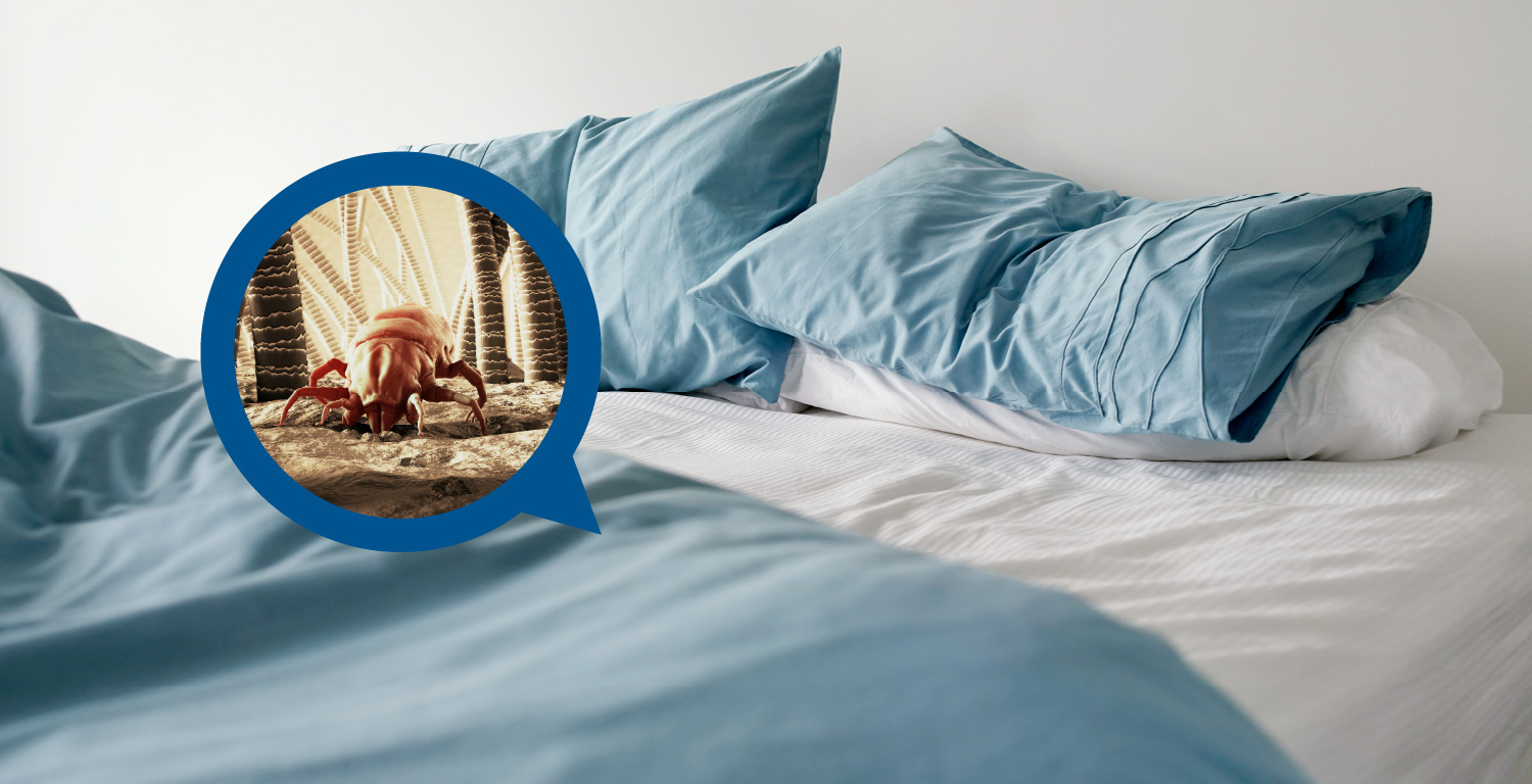 Фото - Приховані загрози домашнього пилу: як виявити, розпізнати і лікувати