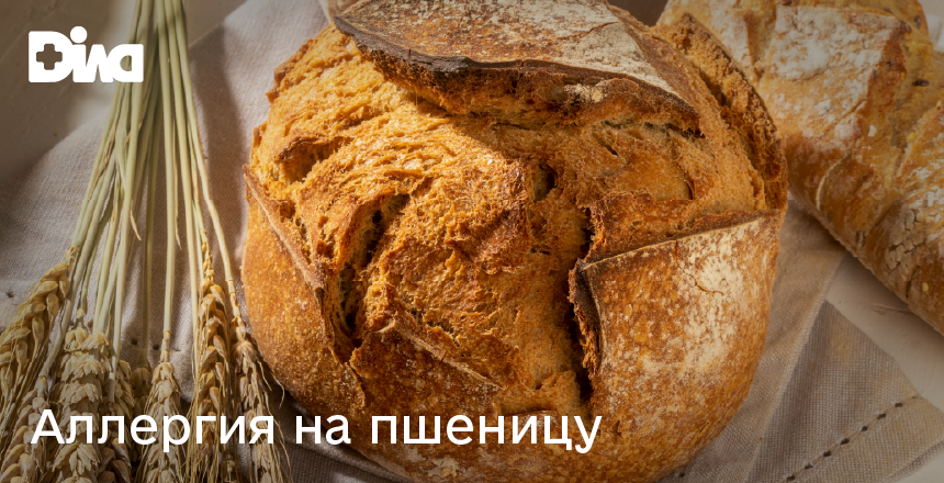 Фото - Аллергия на пшеницу: современный подход к диагностике
