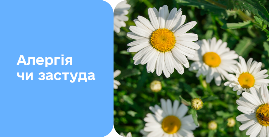 Фото - Аллергия или простуда? 5 признаков и быстрая диагностика в Діла 