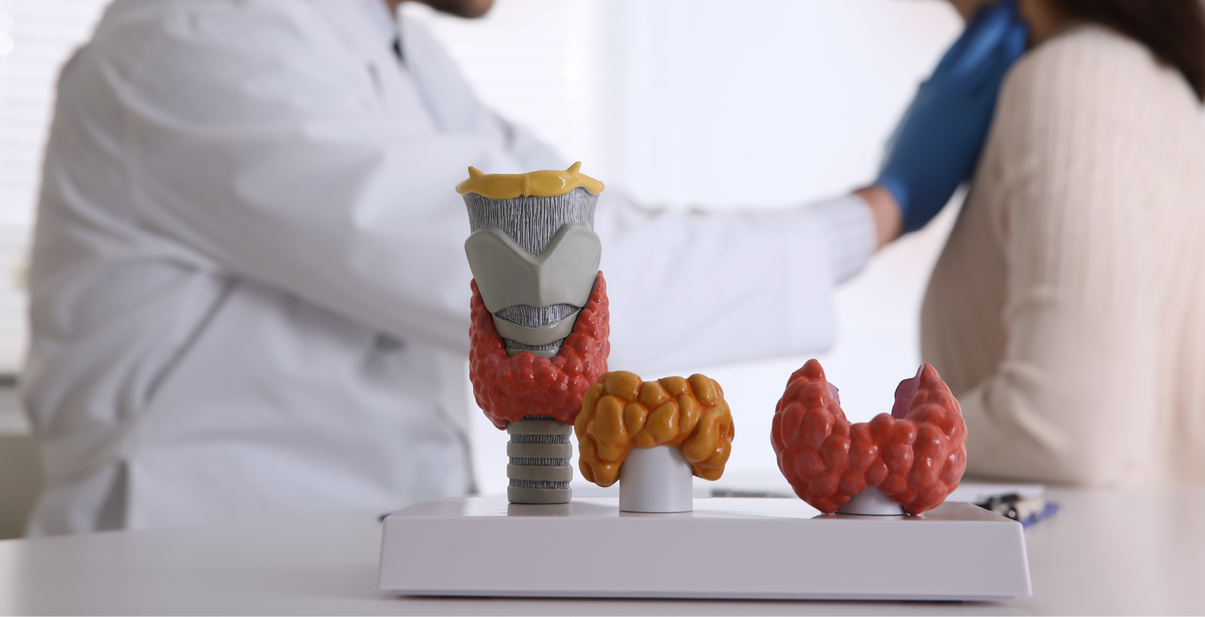 Фото - Гіперпаратиреоз – види, наслідки та сучасні алгоритми ведення пацієнта