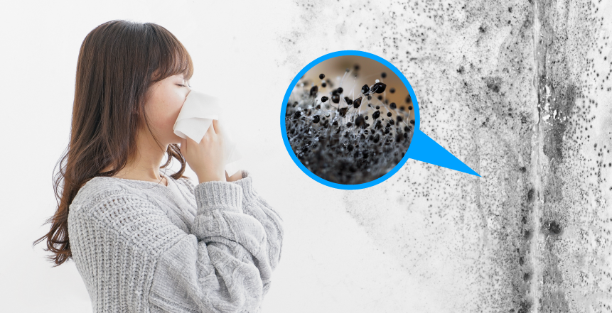 Фото - Цвіль та здоров’я людини